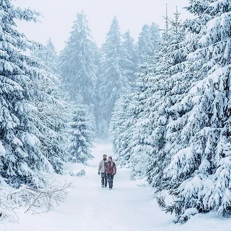 Sommerwind Am Kurgarten *