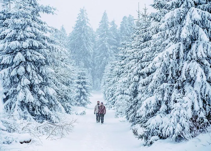 Sommerwind Am Kurgarten *