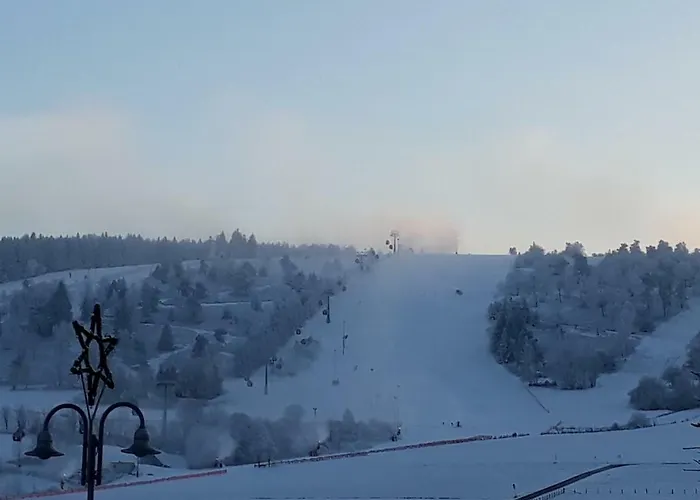 Sommerwind Am Kurgarten * Віллінген